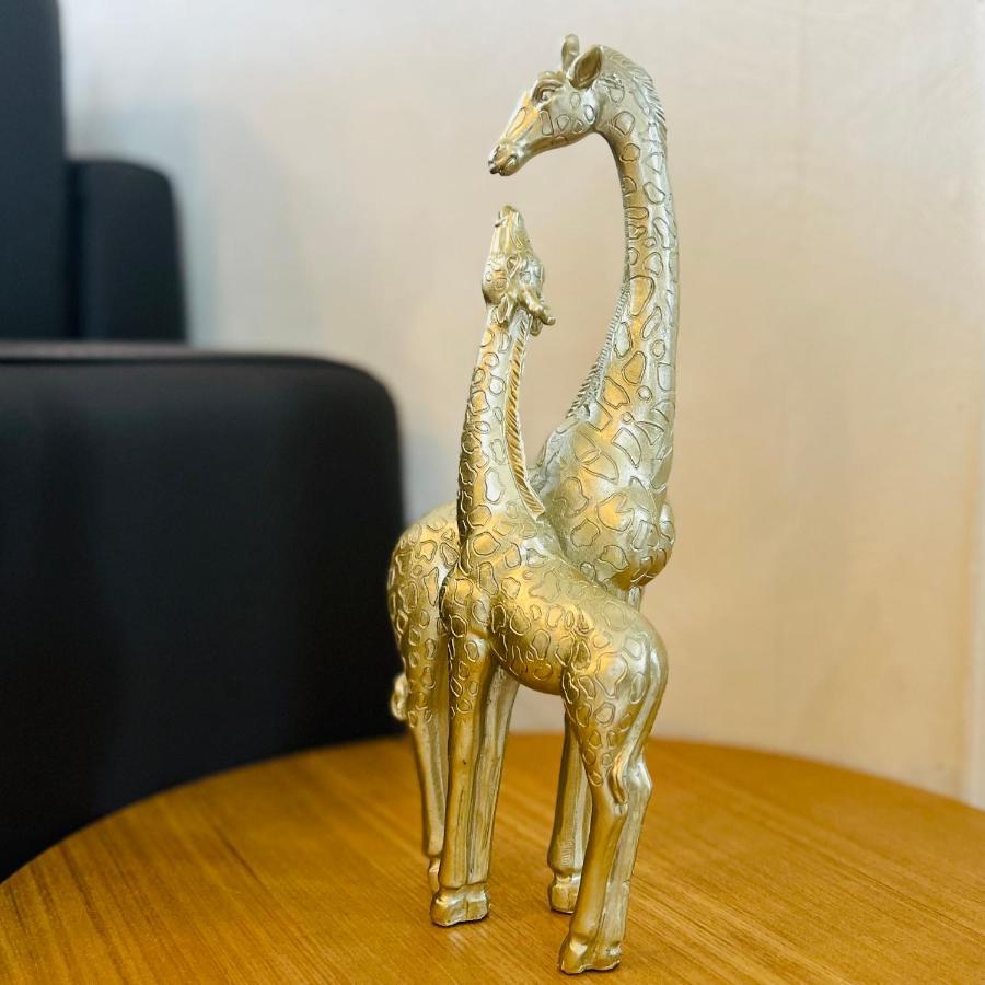 "Le Savanna" Magnifique T3 Montlucon Centre - Hopital - Parking Gratuit Eksteriør bilde
